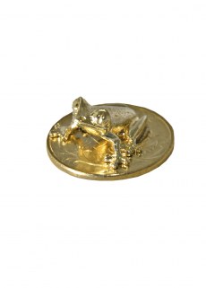 Лягушка золотая на монете 1075